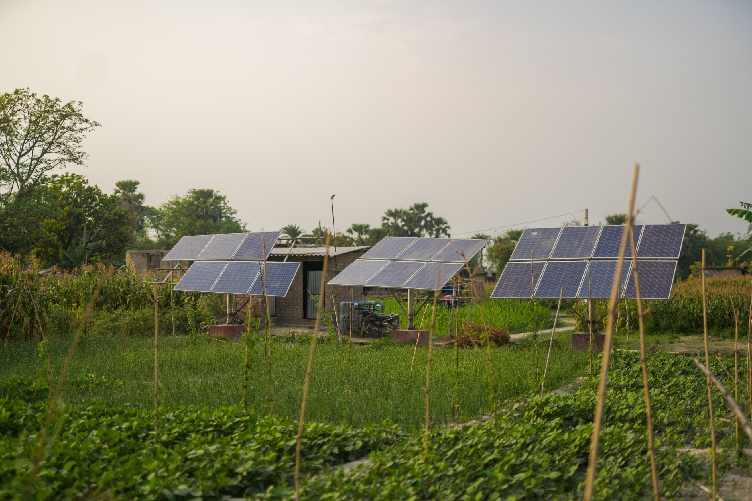 Chakhaji solar irrigation model in Samastipur district of Bihar (Image Source: IWMI)