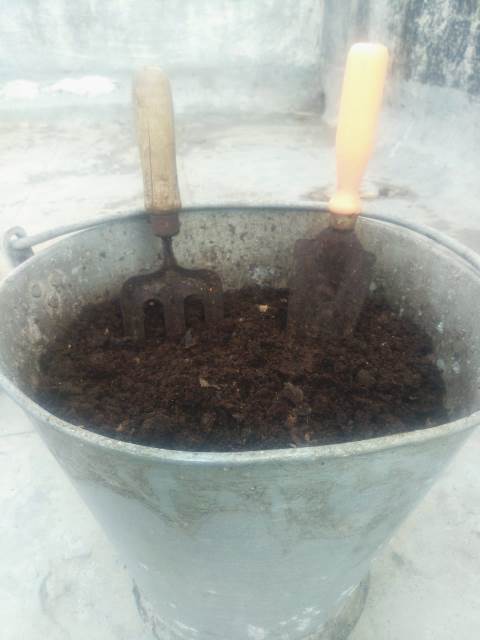 ​ Ready compost, black gold! (Image Source: Jatina Thakkar)