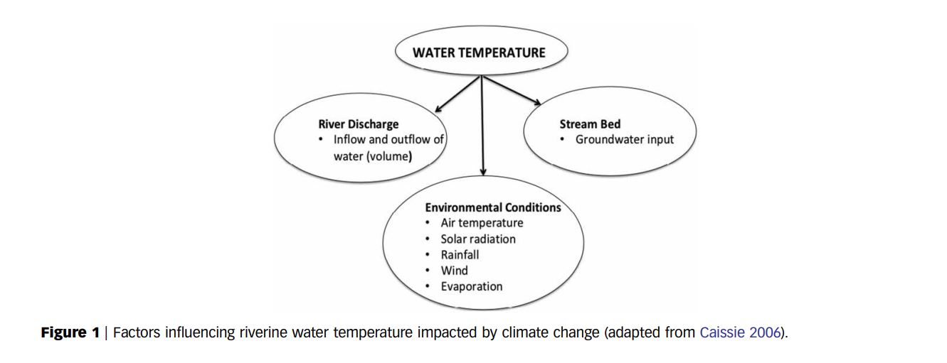 Factors influencing riverine water temperature impacted by climate change (adapted from Caissie 2006).