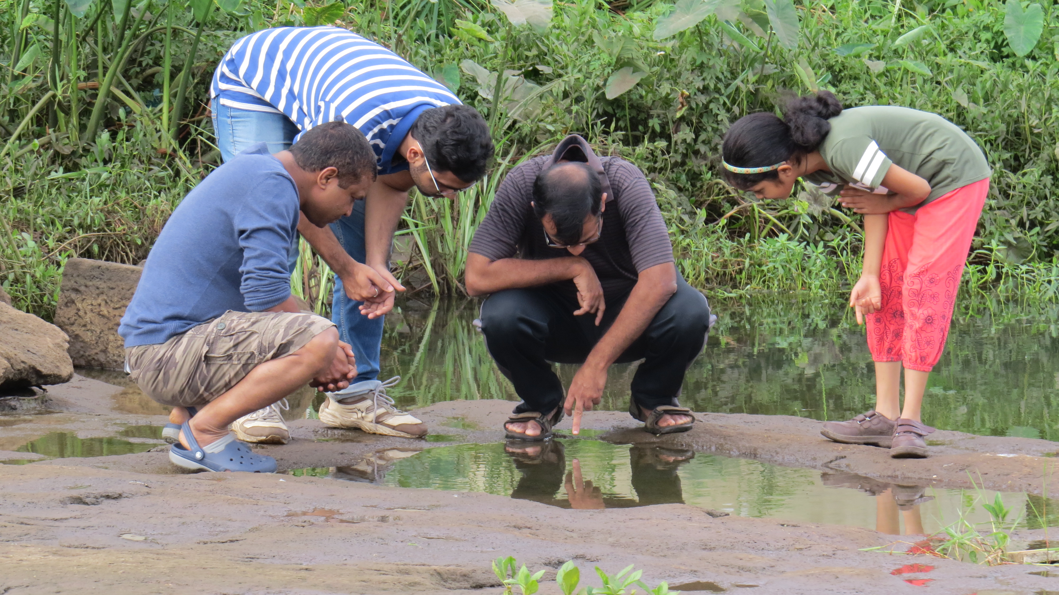 Identification of rock pool site through citizen participation by Jeevitnadi (Image Source: Jeevitnadi)