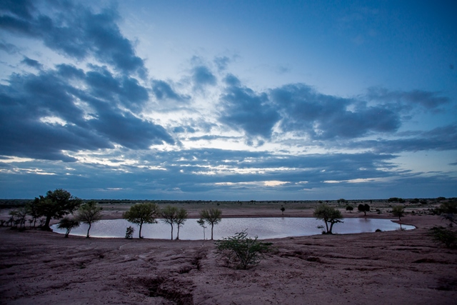 Limited and valuable water resources in the Thar (Image Source: Rituja Mitra)