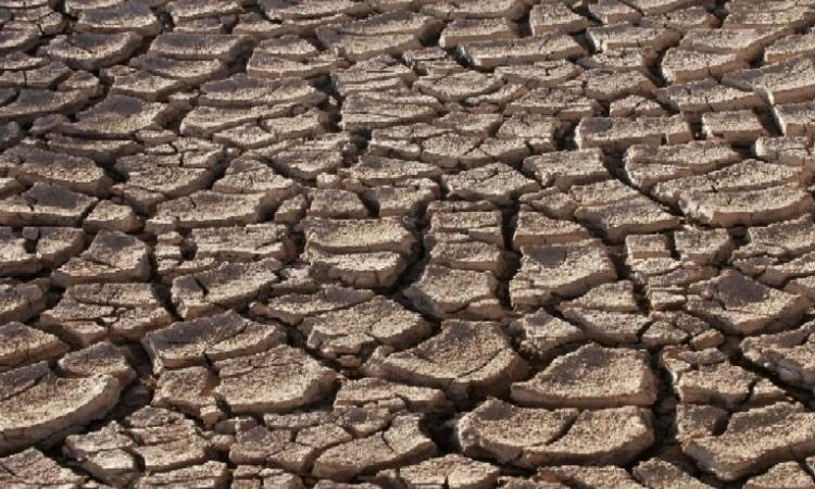 Droughts, a frequent occurance in India (Image Source: Wikimedia Commons)