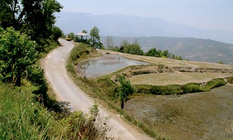 Ponds as reservoirs for paddy fields located below