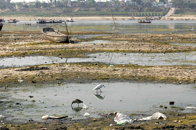 Polythene bags and solid waste where the Ganga water receded in Allahabad.