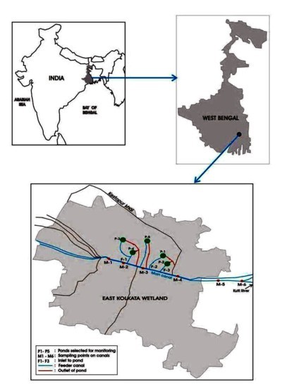 Location map of the East Kolkata wetlands