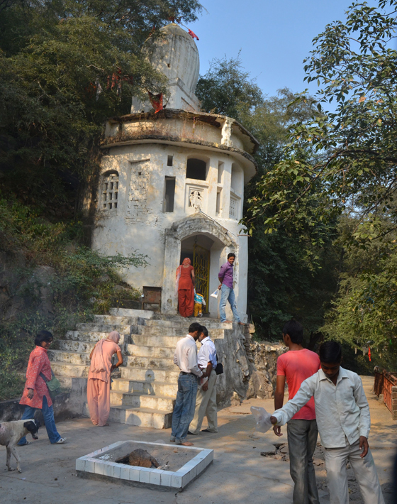 The sacred grove around the Bani dham was safe from encroachment till recently. (Image: Down to Earth)