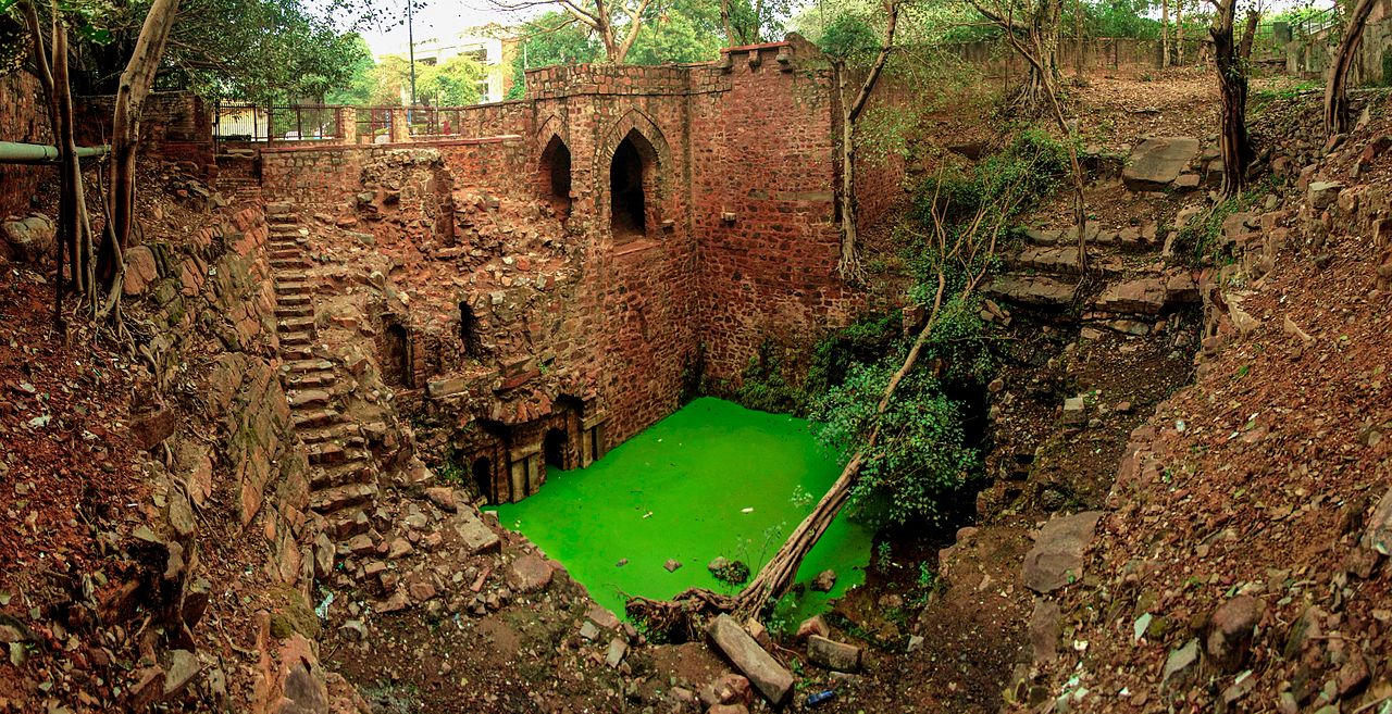 A baoli which is a vital groundwater recharge zone in Delhi ridge.(Source: Girja Prakash, Wikimedia Commons)