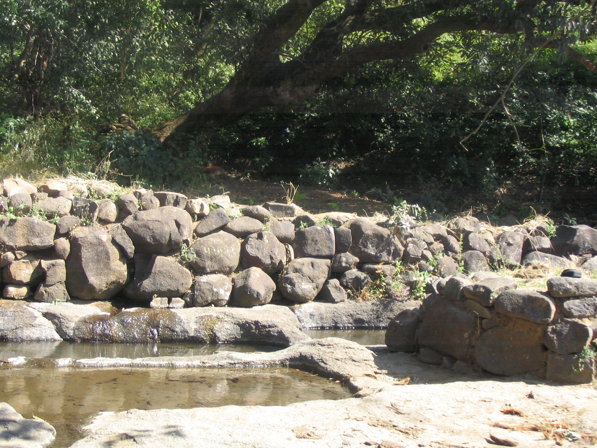 Like this spring in Chikalgaon, a village in the Western Ghats, structures built around springs traditionally have troughs for wildlife to drink from