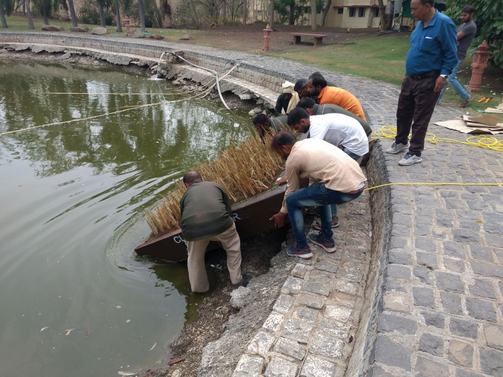 Floating islands is being installed on the water body in Indore in an attempt to naturally restore it (Image: Clean Water)