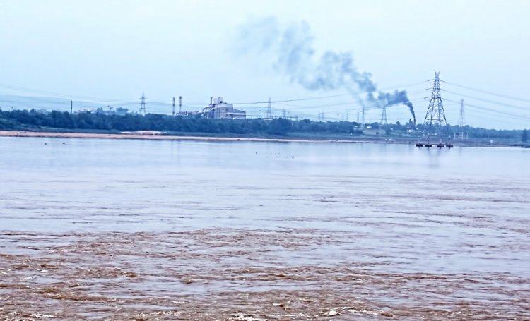 The Mahanadi river