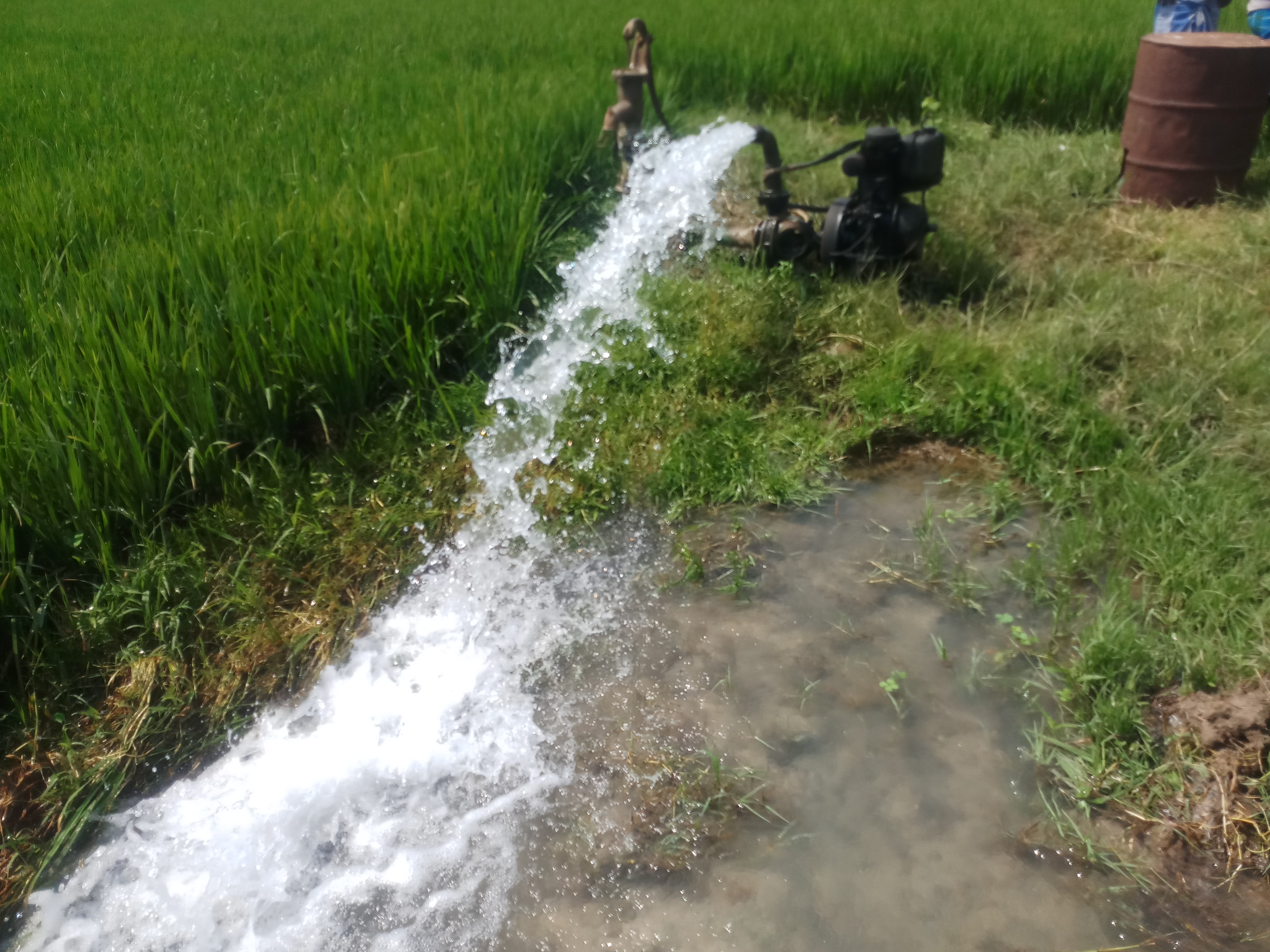 One of the diesel water pumps farmers depend on to irrigate their fields. (Photo: Gurvinder Singh)
