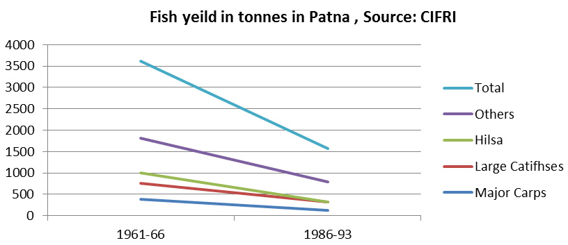 Fish yield, in tonnes, in Patna