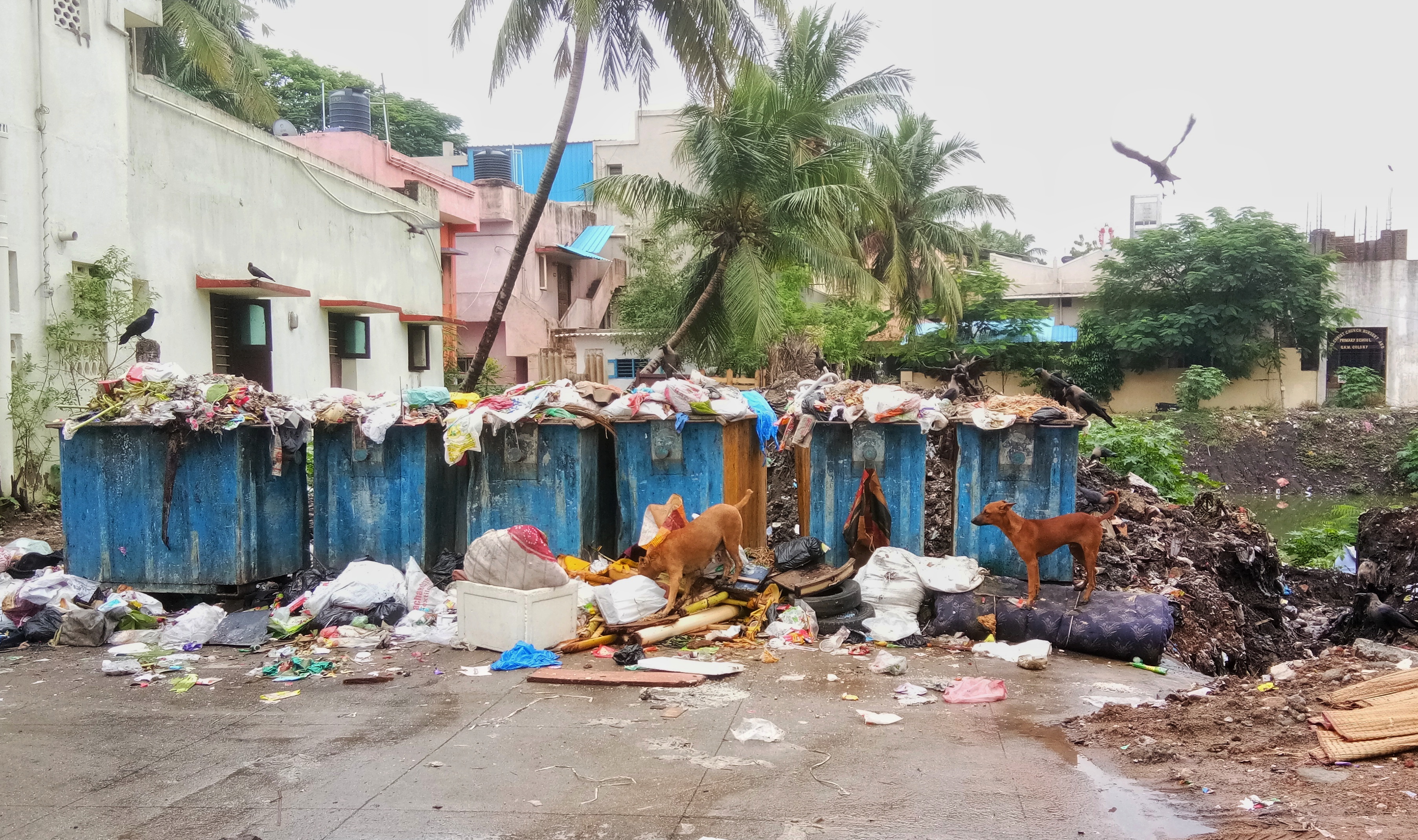 Secure facility to store collected garbage missing in most parts of the city