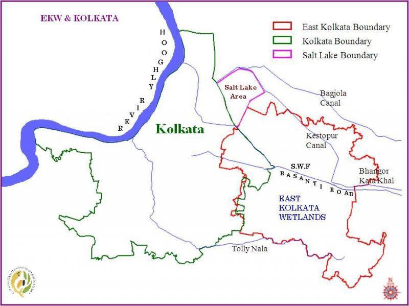 The East Kolkata Wetlands and the Kolkata city. (Source: (http://ekwma.in/ek/)
