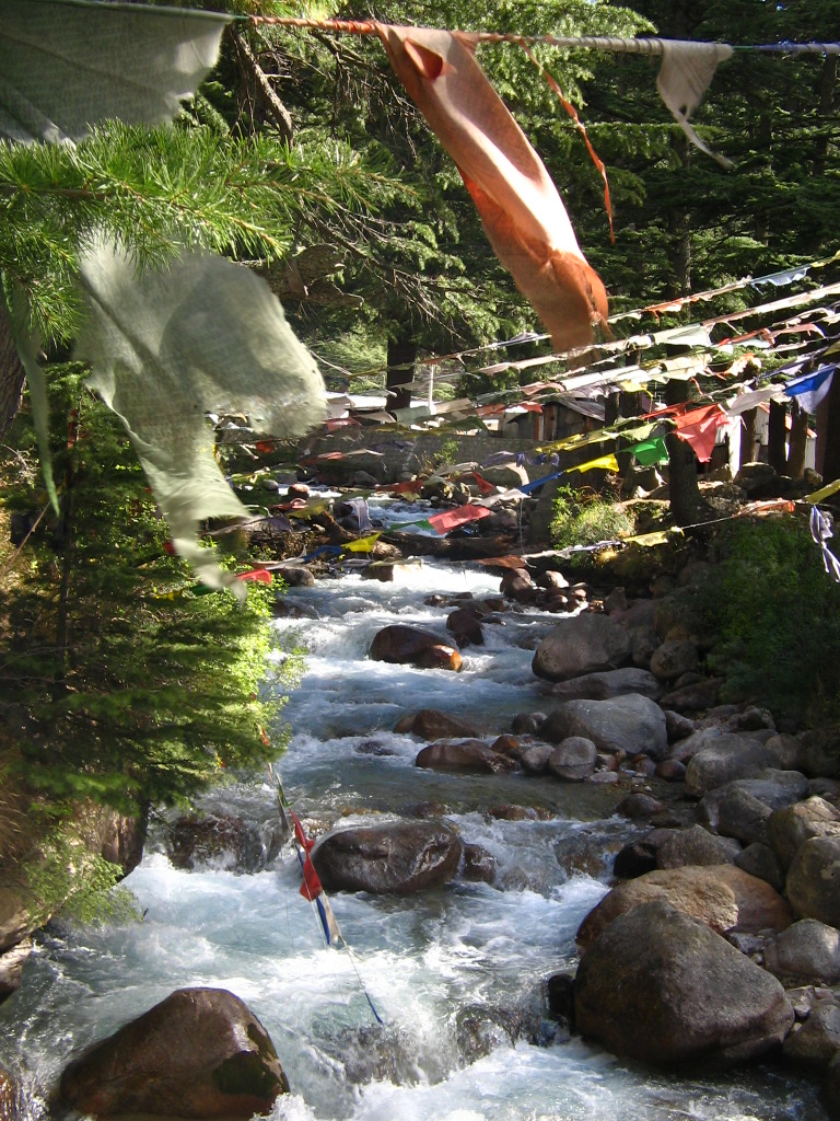 Mountain stream at Bagori (Source: Chicu)