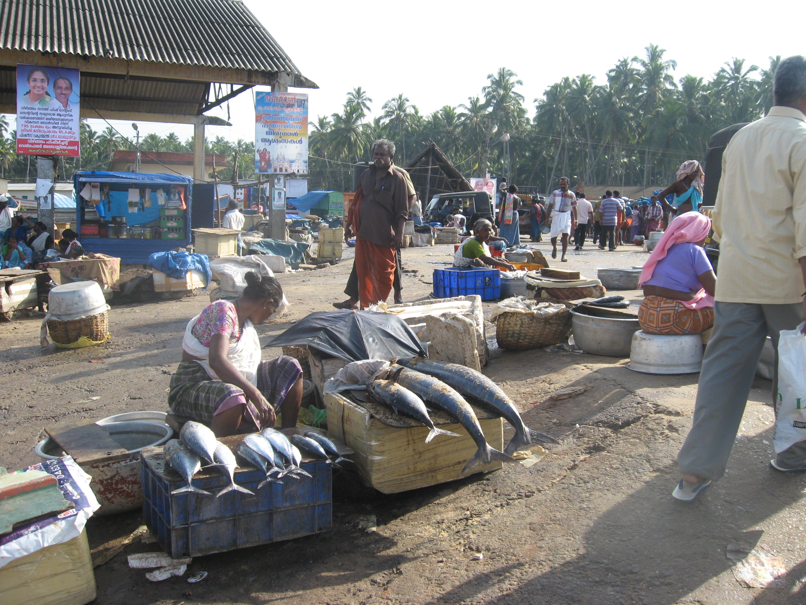 Fisherwomen selling their fish
