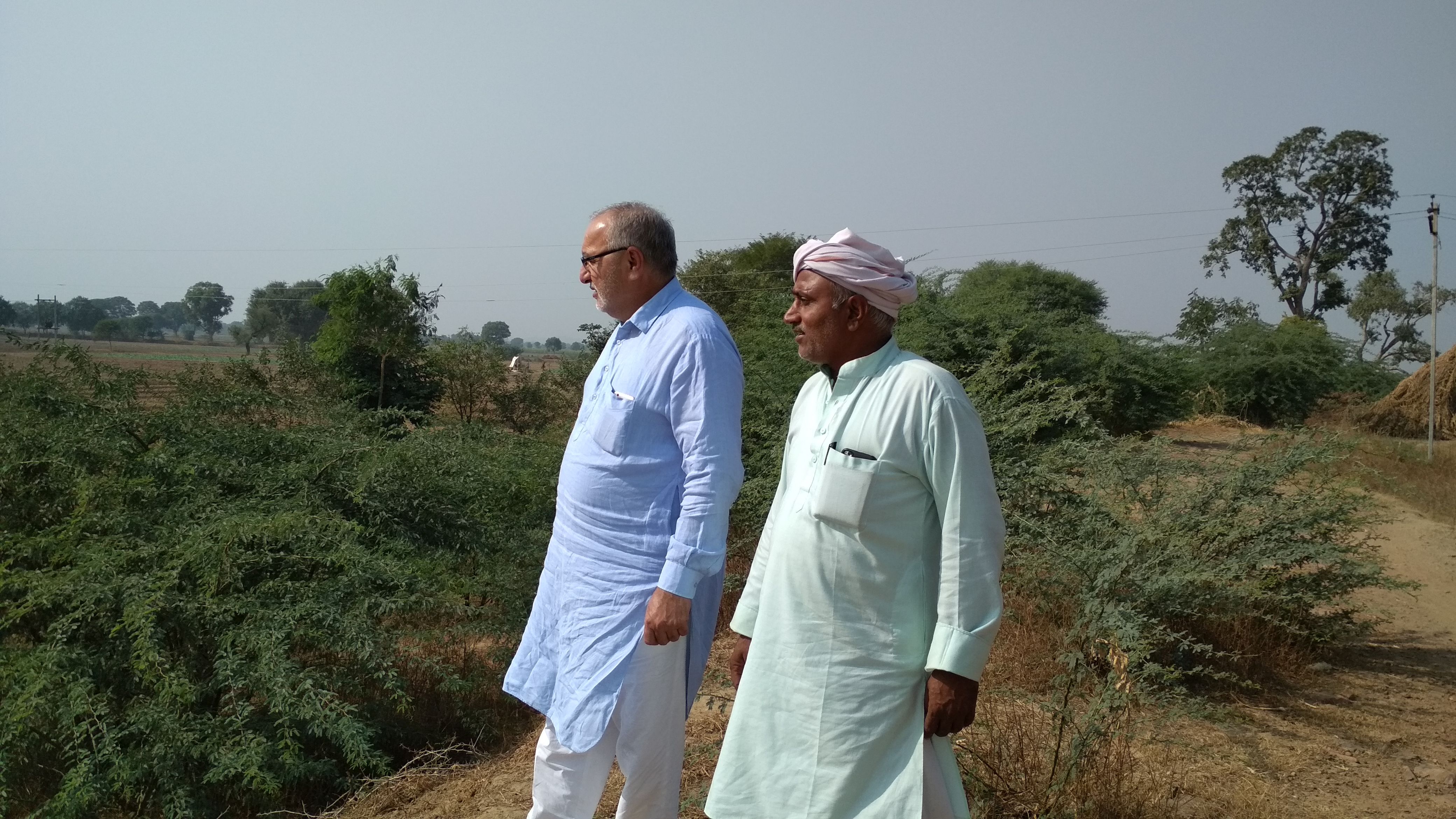Sikri irrigation system received waters from a canal system and fed the traditional earthen dams or johads in the area. Lakhvir Singh and Mohar Singh Gujjar now lead a struggle to get waters for revival of this irrigation system. (Image: India Water Portal)