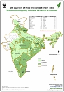 Districts with Paddy cultivation and where SRI approach has been  introduced