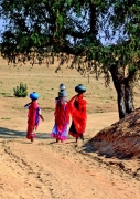 Progress on Sanitation and Drinking Water - A report by WHO and UNICEF