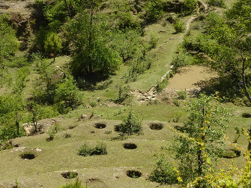 Percolation pits surrounded by grass helped in retaining water and preventing soil erosion.