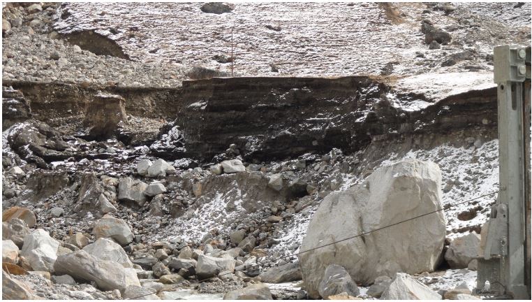 Remains of peat found in Kedarnath.