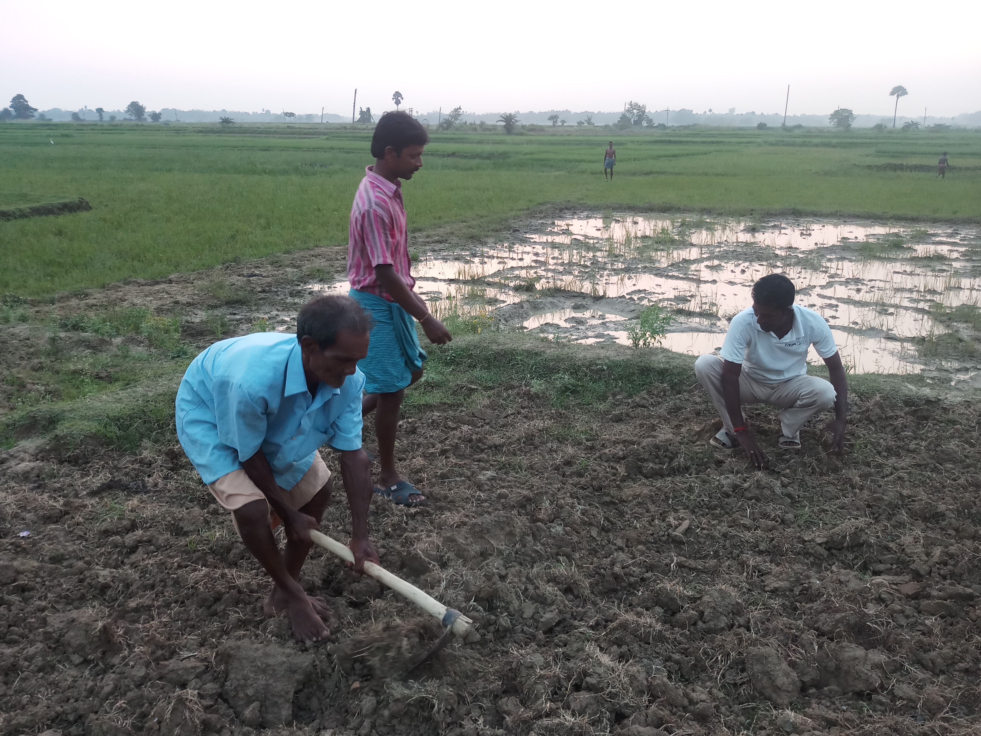 Renupada guides other farmers on organic farming. (Photo: Gurvinder Singh)