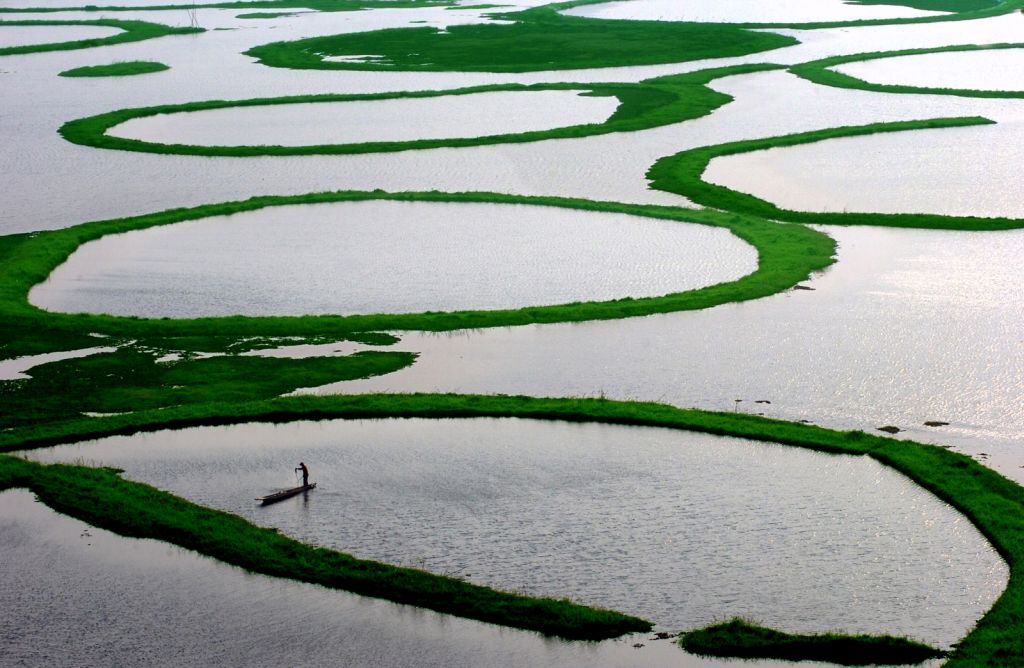 A fisherman searches for the catch at Loktak lake, also known as the floating lake in Manipur. (Sudipto Rana, Wikimedia Commons CC BY-SA 4.0)