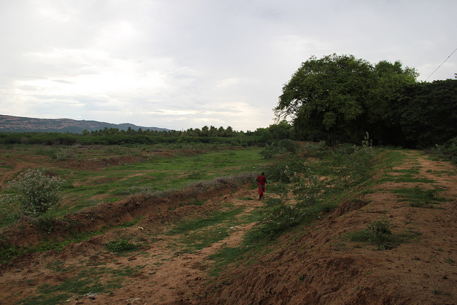 View of the dried up Thuvarimaan Kanmai in Madurai