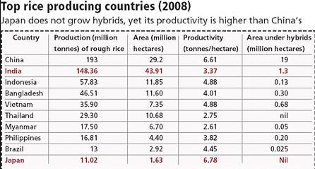 Top rice producing countries (2008)