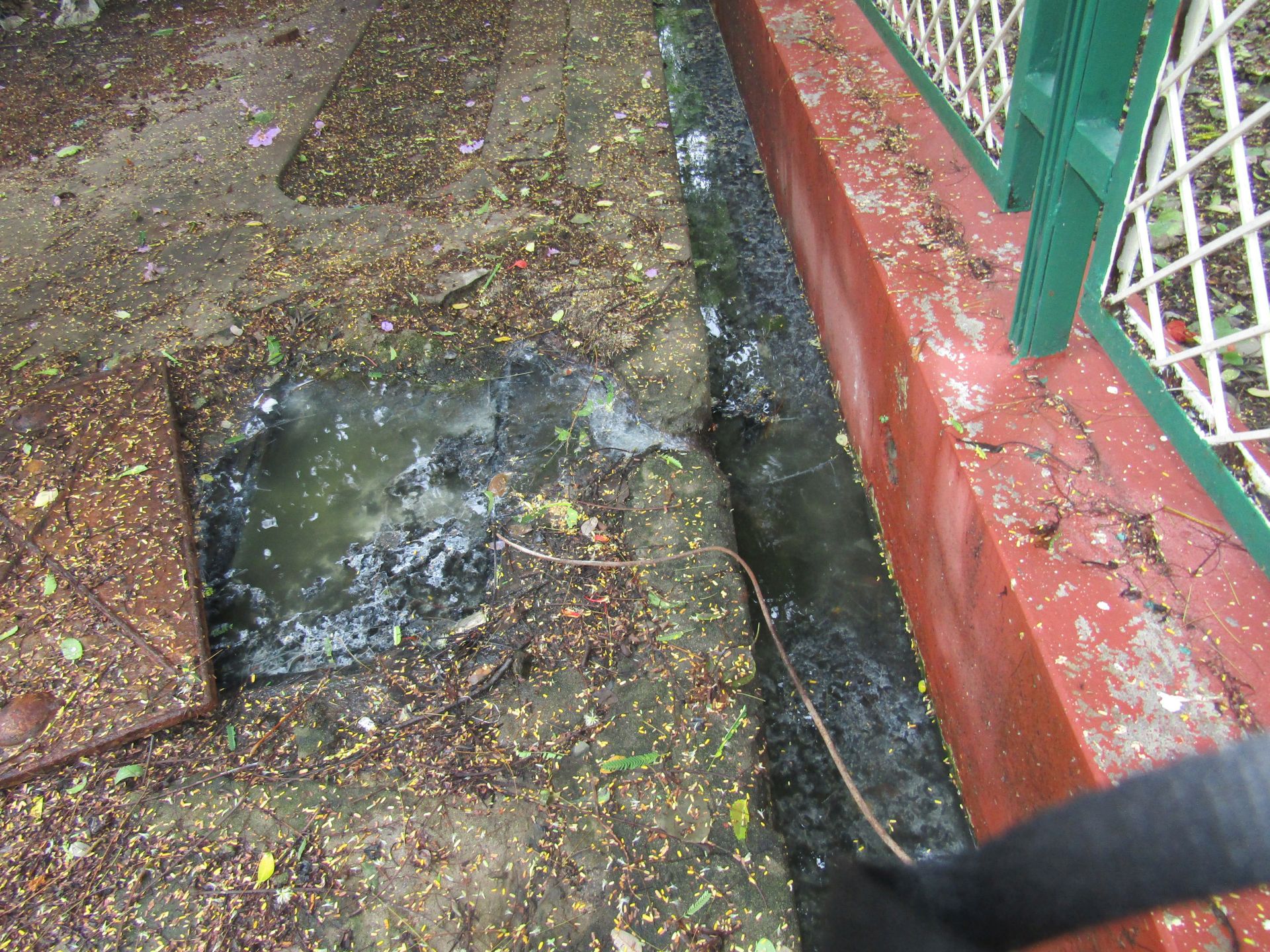 Septic tank outflow at the Ujjain development authority office which is being released untreated into an open drain.