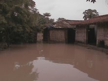 Photograph of flooding due to breach in Bagmati's embankment, taken by NGO: Ghoghardiha Prakhand Swarajya Vikas Sangh, Madhubani