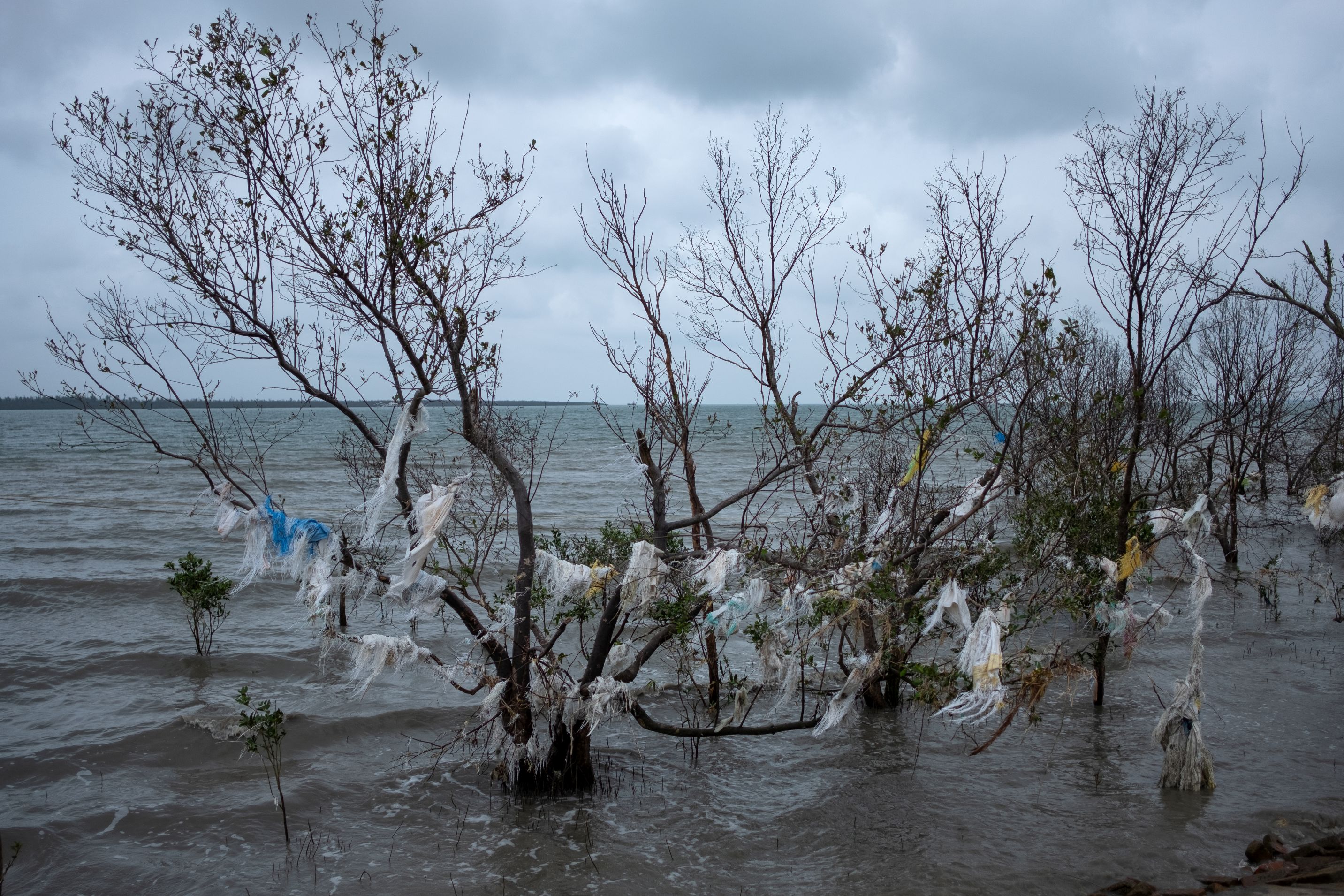 Locals’ possessions have been stuck on trees due to the rising sea level. (Image: WaterAid, Subhrajit Sen)  