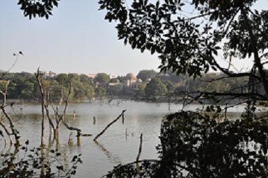 Wetland_lake Delhi