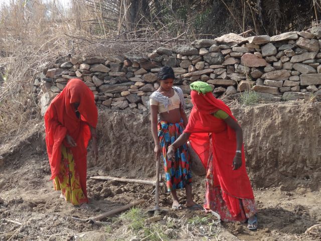 Women doing MGNREGA work on their farms in Rajasthan 