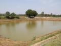 A small tank near Thalambedu in Kanchipuram (Image Source: India Water Portal)