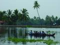 View of lush green Kerala (Image source: ATREE via India Water Portal Flickr Album)