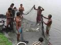 Fishermen use wastewater from Kolkata to rear fish (Image Source: India Water Portal)