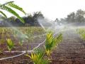 A key mitigation strategy to deal with water scarcity due to climate change is on-farm management of water using techniques like micro-irrigation (Image: India Water Portal Flickr)