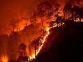 More than 275 million people in India are exposed to extreme forest fire events. (Image: Naveen N Kadalaveni, Wikimedia Commons)