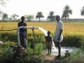 Rice farmer irrigating from a shallow well to complement irrigation water from the Nagarjuna irrigation scheme in Krishna river basin, Andhra Pradesh (Image: François Molle, Water Alternatives)