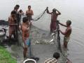 Fishermen use wastewater in Kolkata to rear fish (Image Source: India Water Portal)
