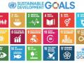 Sustainable Development Goals adopted in 2015 as a part of the 2030 agenda. (Source: Wikipedia Commons)