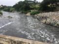 Vrishabhavathi river flow at Thagachguppe Bridge, Kumbalgodu (Image Source: Paani.Earth)