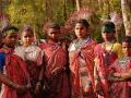 Indigenous groups that lived and helped maintain the forests for centuries have been undermined (Image: Baiga women, Wikimedia Commons; CC BY-SA 3.0)