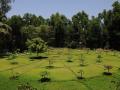 The Nakshatra Garden
