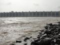 Narmada river in Madhya Pradesh (Source: IWP Flickr photos)