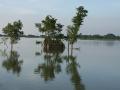 Flood in Bihar. (Source: IWP Flickr Photos)