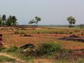 Picture: The semi-arid regions of the Moyar-Bhavani River basin in Tamil Nadu. Picture credit: Prathigna Poonacha, Tanvi Deshpande; Indian Institute for Human Settlements from India Water Portal on Flickr. Picture used for representational purposes only