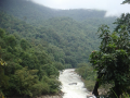 Free flowing stretch of river Seetha Nadi in the Western Ghats (Source: SANDRP)