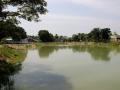 The renovated Samathamman temple pond in Kooram.